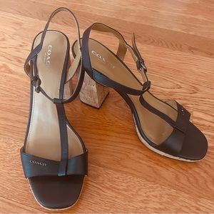 Coach Briana T-Strip Block Heel Sandal